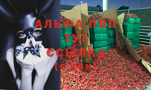 дмт Сясьстрой