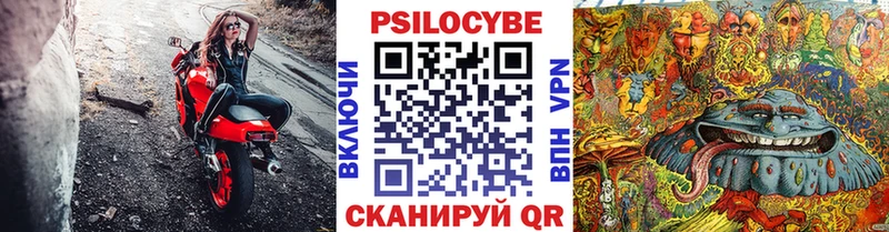 Псилоцибиновые грибы Psilocybine cubensis  hydra tor  Лысьва 